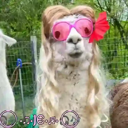 Figurinha para WhatsApp — Animais