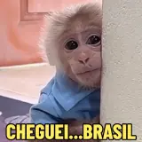 Figurinha de Memes Brasileiros para WhatsApp