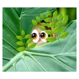 Figurinha para WhatsApp