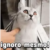 Figurinha de Gatos para WhatsApp