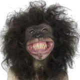 Figurinha de Engraçados para WhatsApp