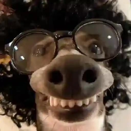 Coletadas sticker 919