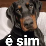 Figurinha de Cachorros para WhatsApp
