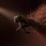 Figurinha de Animais para WhatsApp