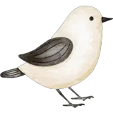 Sticker de Animais para WhatsApp