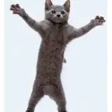 Figurinha de Animais para WhatsApp