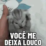 Figurinha de Cachorros para WhatsApp