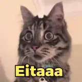 Figurinha de Memes Brasileiros para WhatsApp