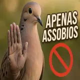 Figurinha para WhatsApp