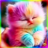 Figurinha de Gatos para WhatsApp