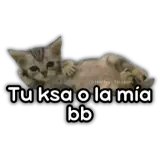 Figurinha de Memes para WhatsApp