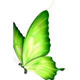 Figurinha de Animais para WhatsApp