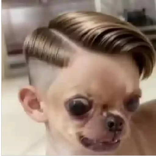 Figurinha para WhatsApp — Cachorros