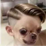 Figurinha de Cachorros para WhatsApp