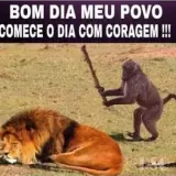 Figurinha de Memes Brasileiros para WhatsApp