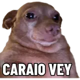 Figurinha de Memes Brasileiros para WhatsApp