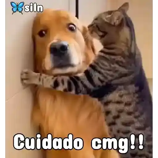 Coletadas sticker 4362