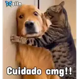 Figurinha de Memes Brasileiros para WhatsApp