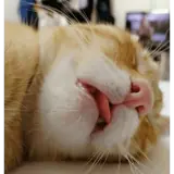 Figurinha para WhatsApp