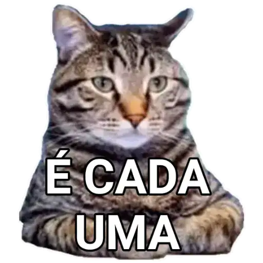 Coletadas sticker 2559