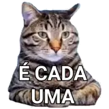Sticker de Memes Brasileiros para WhatsApp