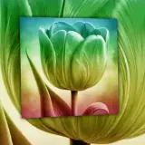 Figurinha para WhatsApp