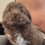 Figurinha para WhatsApp