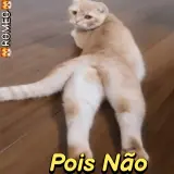 Figurinha de Gatos para WhatsApp
