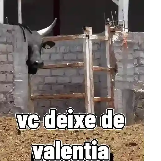 Coletadas sticker 10448