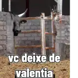 Figurinha de Memes Brasileiros para WhatsApp