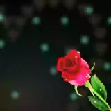 Figurinha para WhatsApp