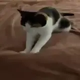 Figurinha para WhatsApp