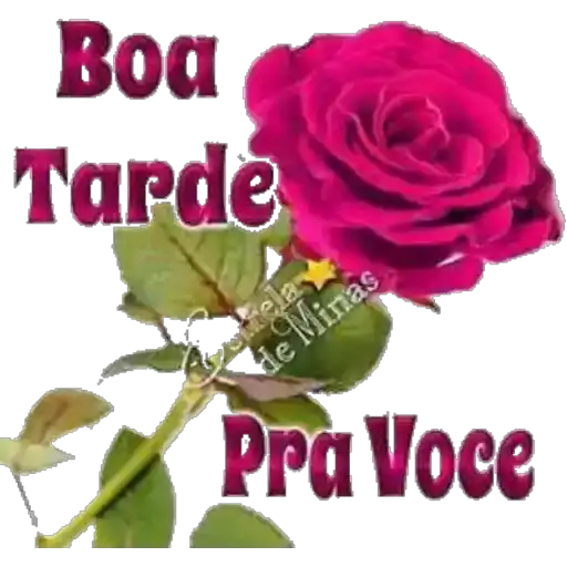 Coletadas sticker 11408