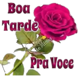 Figurinha de Saudações para WhatsApp