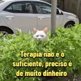 Sticker de Memes Brasileiros para WhatsApp