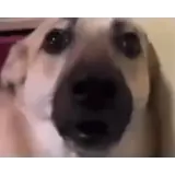 Sticker para WhatsApp