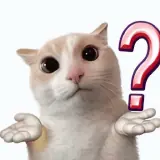 Figurinha de Gatos para WhatsApp