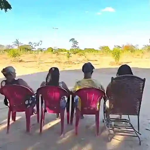 Figurinha para WhatsApp — reação