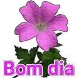 Bom Dia WhatsApp sticker