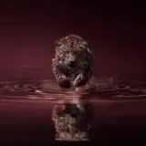 Figurinha de Animais para WhatsApp