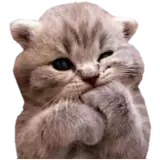 Figurinha de reação para WhatsApp