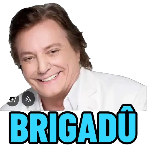 Coletadas sticker 848