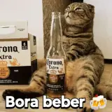 Figurinha de Memes para WhatsApp