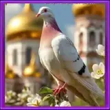 Figurinha para WhatsApp