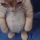 Figurinha para WhatsApp