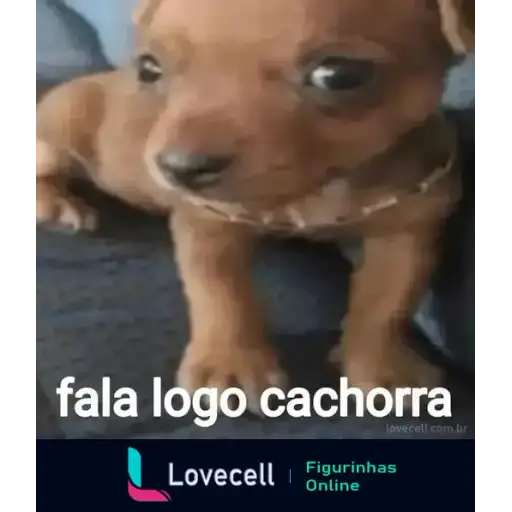 Coletadas sticker 32530