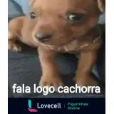 Figurinha para WhatsApp