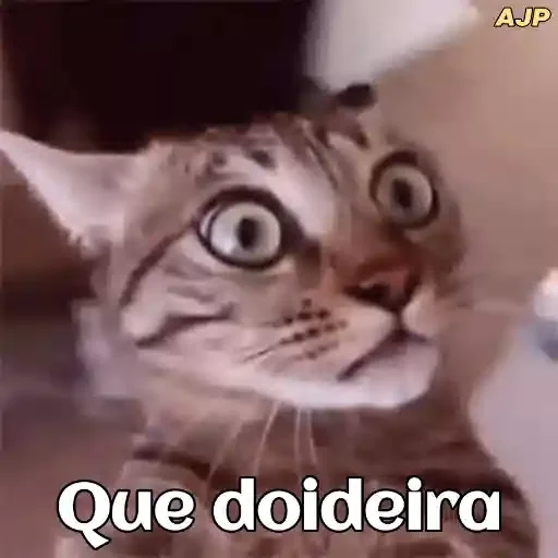 Figurinha para WhatsApp — Memes Brasileiros